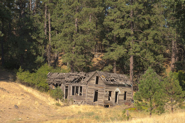 Old derelict homestead in the Palouse region of Washington