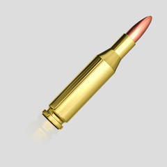 775 Bullet Isolated on a Light Background