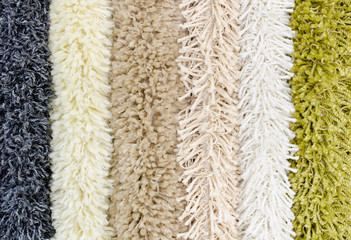 carpet demo samples