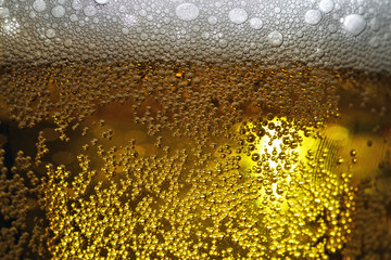 Close-up of beer in glass