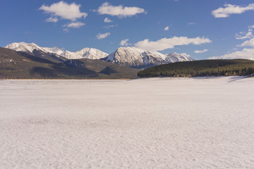Snow Coverd Abraham Lake