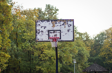 Basket board and hoop. Training in nature