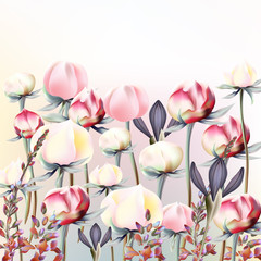 Fototapeta na wymiar Beautiful illustration with pink and white peony flowers