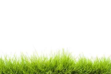green grass on white background