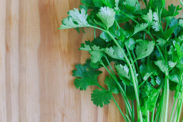Green leaves coriander or cilantro lay on wood table in top view flat lay with copy space. Food preparation concept for fresh vegetable.