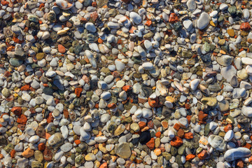 Natural colorful pebble in the water. Abstract background texture. Bright Sunny day.