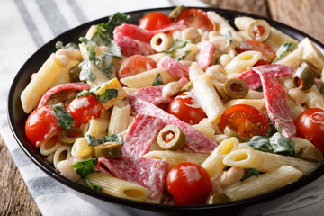 Delicious salad of pasta, salami, cheese, and vegetables with cream sauce close-up. horizontal