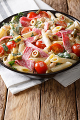 Tuscan salad of penne pasta with salami, and vegetables with cream sauce close-up. vertical