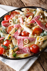 Salad of penne pasta with salami, and vegetables with cream sauce close-up. horizontal