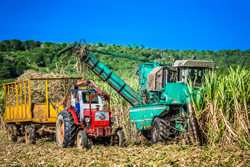HDR - Zuckerrohrernte auf dem Feld mit Traktor und Zuckerrohr Mähdrescher in Santa Clara Kuba - Serie Kuba Reportage