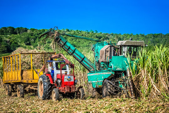HDR - Zuckerrohrernte auf dem Feld mit Traktor und Zuckerrohr M&auml;hdrescher in Santa Clara Kuba - Serie Kuba Reportage