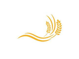 wheat seed food cereal brew vector logo design 