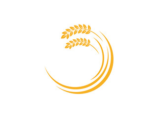 Obraz premium wheat seed food cereal brew vector logo design 