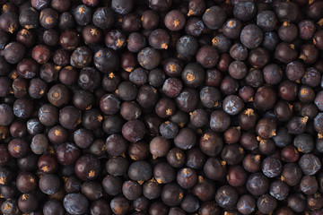 dried juniper berries spice as a background, natural seasoning texture