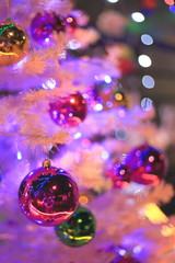 Fototapeta premium クリスマス