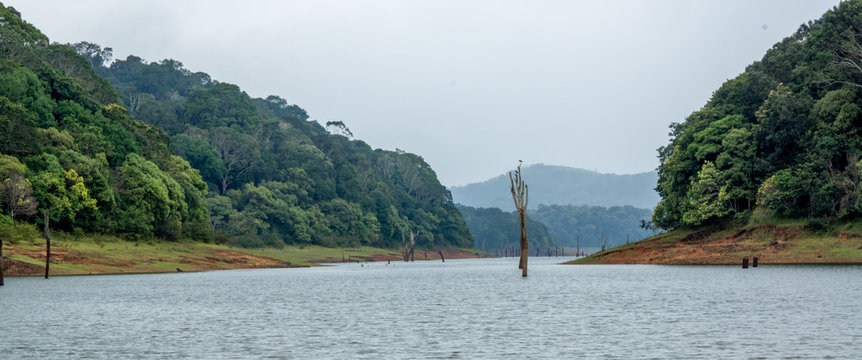 Panoramic Periyar Lake