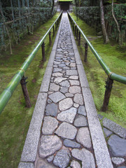 Pathway trough Japan