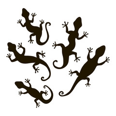 Lizards silhouette vectort. Stock vector template, easy to use.