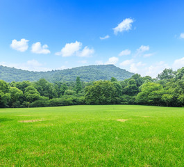 green grass and beautiful mountain nature landscape in summer