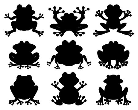 Black silhouettes of frog on a white background