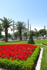 The Blue Mosque, (Sultanahmet Camii), Istanbul, Turkey.