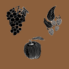 Dewberry, grapes and apple hand drawn set - 185651244