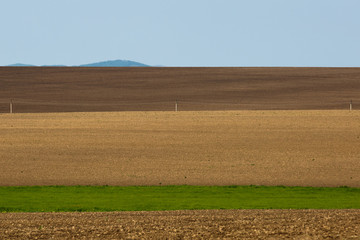 Fototapeta na wymiar Agricultural fields in summer. The sown fields are wheat. Combine and tractor harvest.