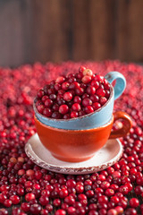 cranberries in a ceramic mug