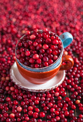 cranberries in a ceramic mug