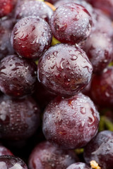 sweet grapes