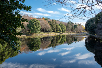水面に映る景色
