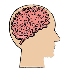 brain storming with human profile vector illustration design