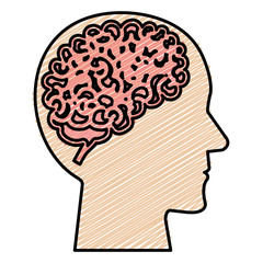 brain storming with human profile vector illustration design