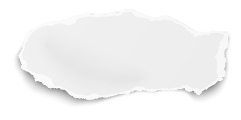 Search photos "paper tear vector"