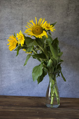 sunflowers in the vase