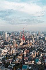 Tokyo tower with Tokyo city view.