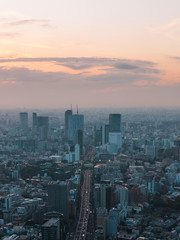 Obraz premium Streets of Tokyo city seen from above.