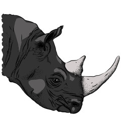 Portrait of a rhinoceros. Can be used for printing on T-shirts, flyers and stuff. Vector illustration