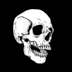 Portrait of a skull. Can be used for printing on T-shirts, flyers, etc. Vector illustration