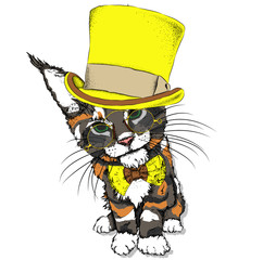 Portrait of a cat in a hat. Can be used for printing on T-shirts, flyers, etc. Vector illustration