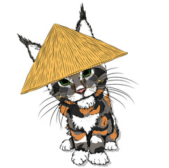 Portrait of a cat in a Asian hat. Can be used for printing on T-shirts, flyers, etc. Vector illustration