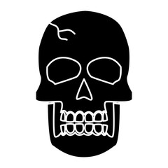 Human skull symbol icon vector illustration graphic design