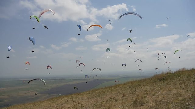 Many paragliders are flying near the mountainside