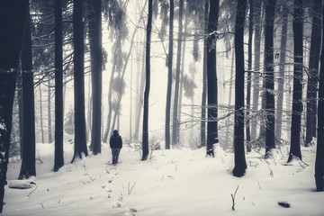 Fototapeta premium Foggy Night