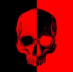 Portrait of a skull. Can be used for printing on T-shirts, flyers, etc. Vector illustration