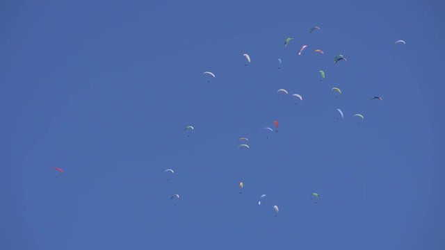 Group of paragliders climbing in a thermal against a clear blue sky