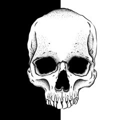 Portrait of a skull. Can be used for printing on T-shirts, flyers, etc. Vector illustration