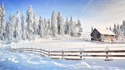 Winter in Transylvania