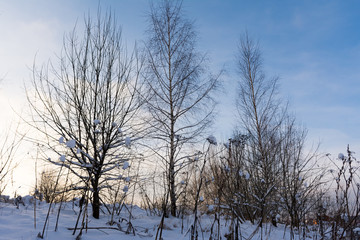 urban snowy landscape