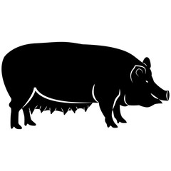 Vector image of pig's silhouette